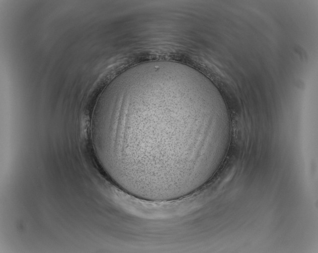 X0000112980038200909101723