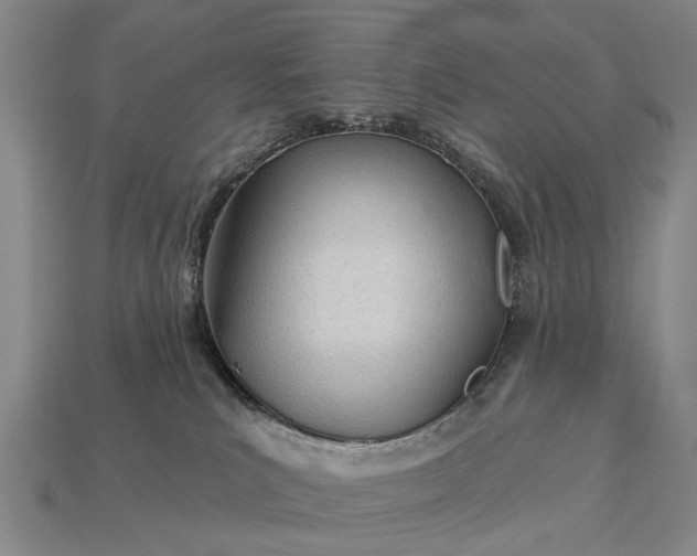 X0000112980039200909101723