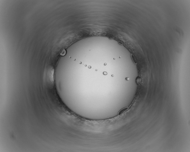 X0000112980041200909101723