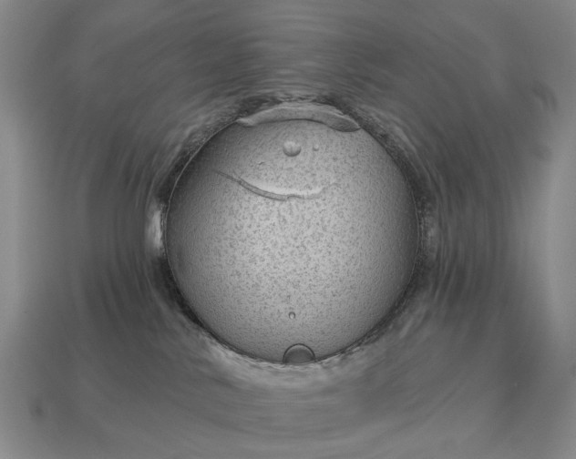 X0000112980042200909101723