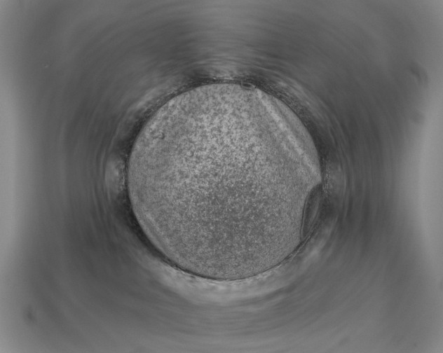 X0000112980043200909101723