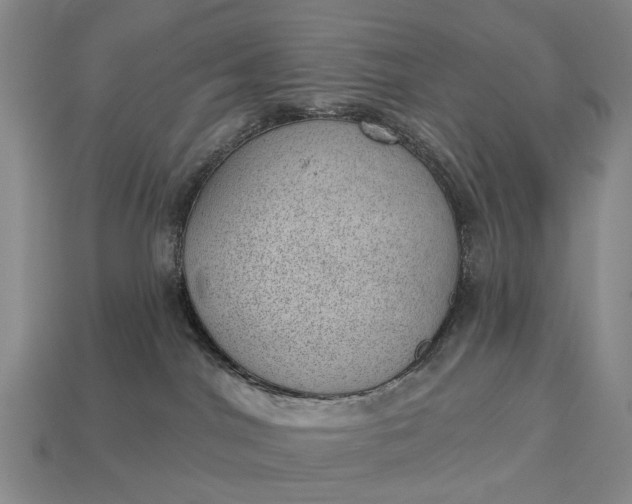 X0000112980044200909101723