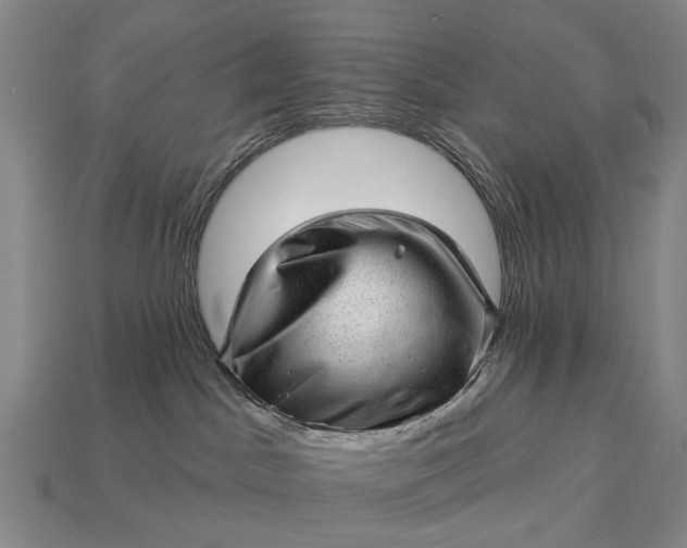 X0000112980045200909101723