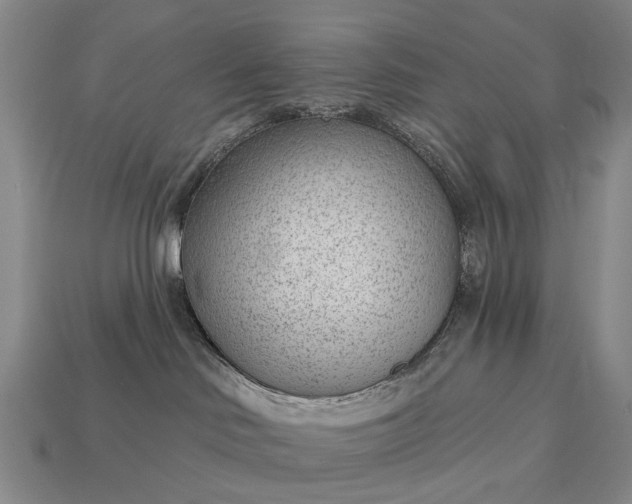 X0000112980046200909101723