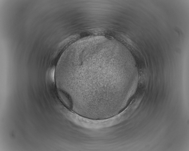 X0000112980047200909101723