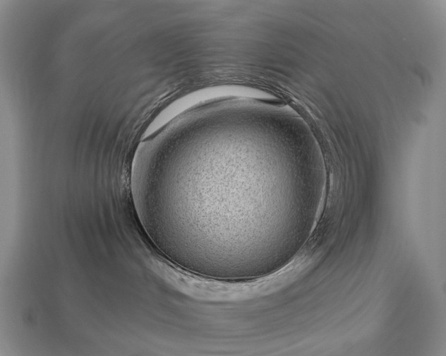 X0000112980048200909101723