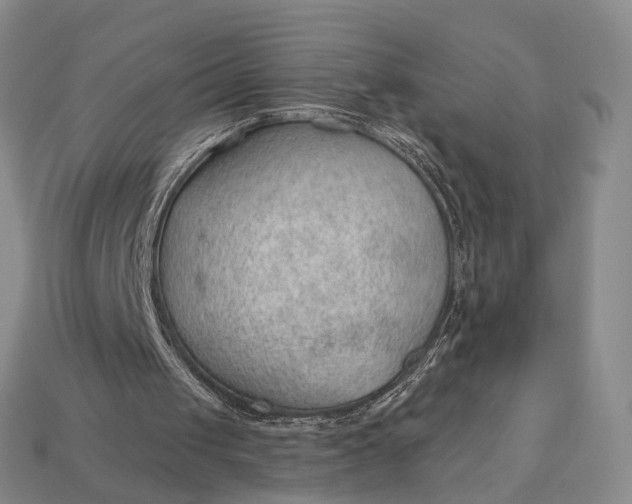 X0000112980049200909101723