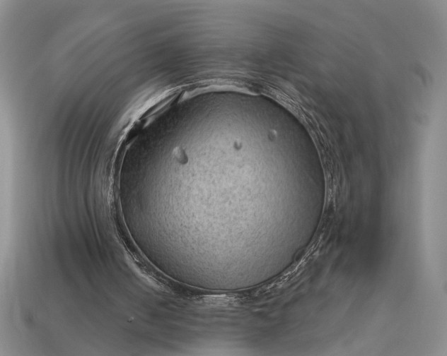 X0000112980050200909101723