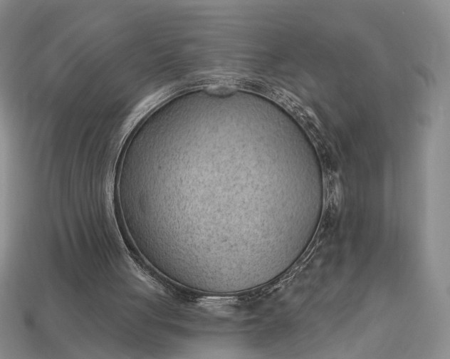 X0000112980051200909101723