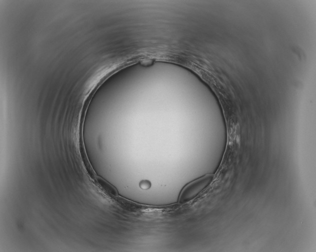 X0000112980052200909101723