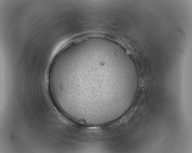 X0000112980053200909101723