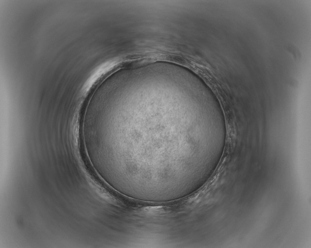 X0000112980054200909101723