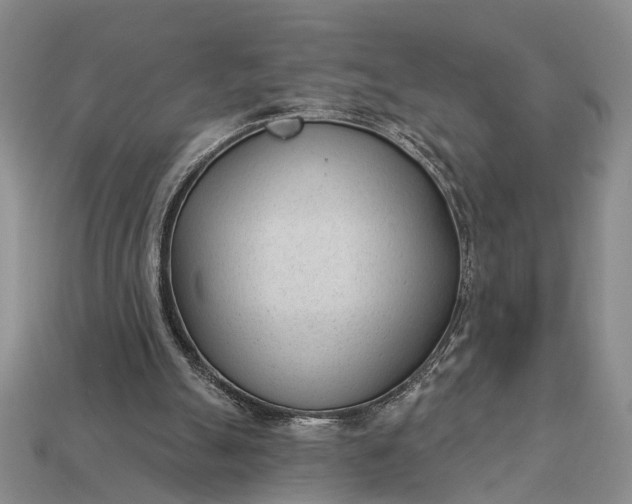 X0000112980055200909101723