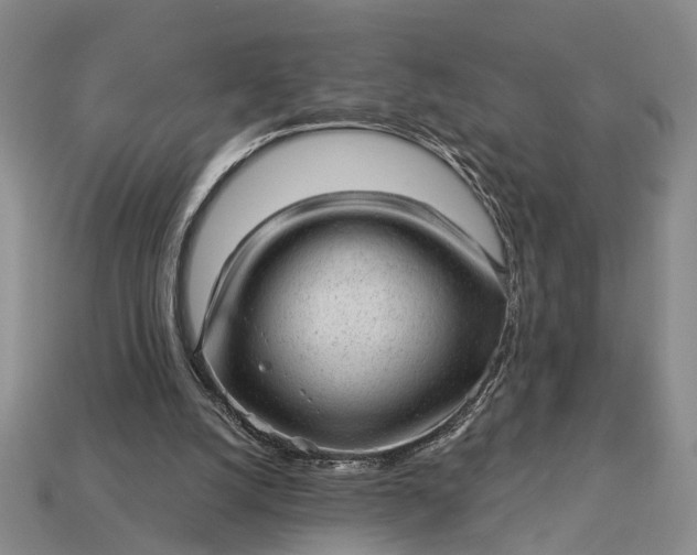 X0000112980056200909101723