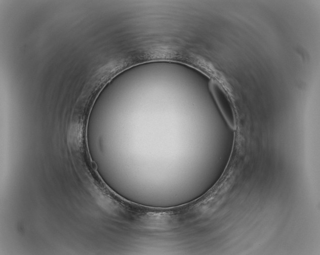 X0000112980057200909101723