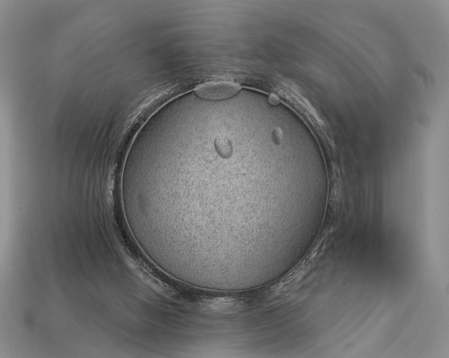 X0000112980058200909101723