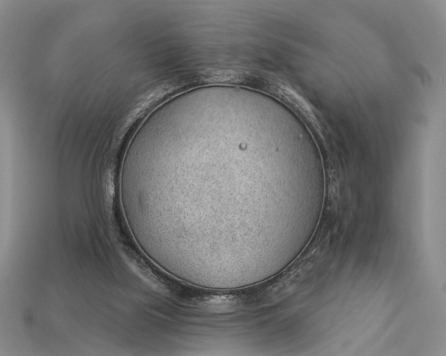 X0000112980059200909101723