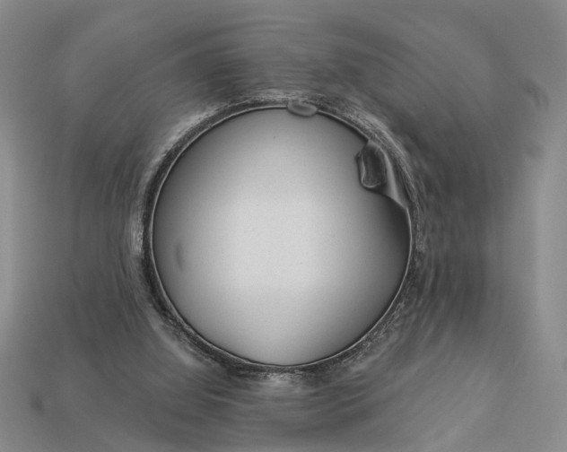 X0000112980060200909101723