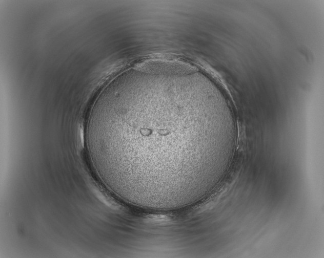 X0000112980061200909101723