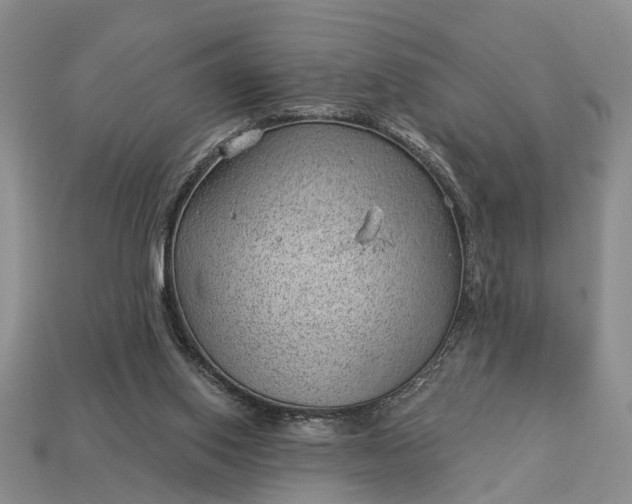 X0000112980062200909101723