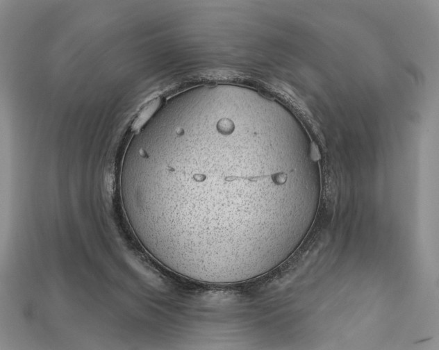 X0000112980063200909101723