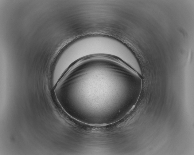 X0000112980064200909101723