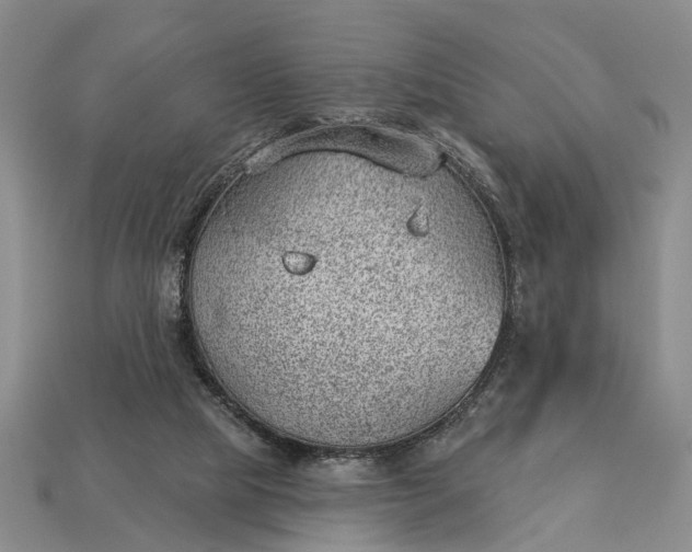 X0000112980065200909101723