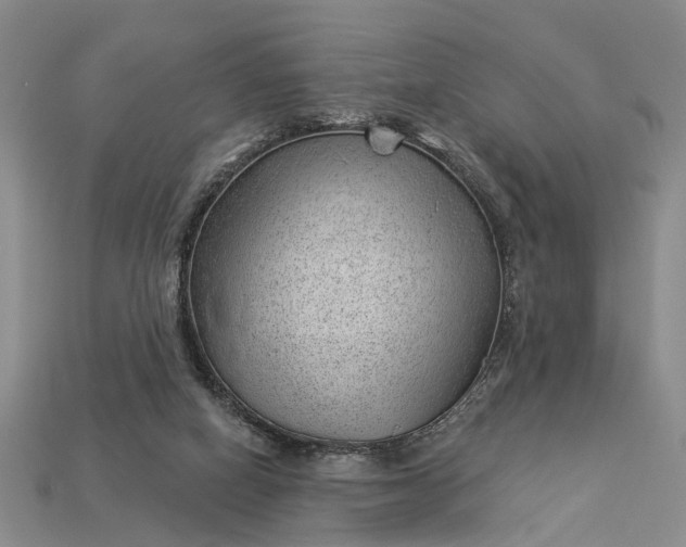 X0000112980066200909101723