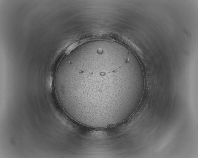 X0000112980067200909101723