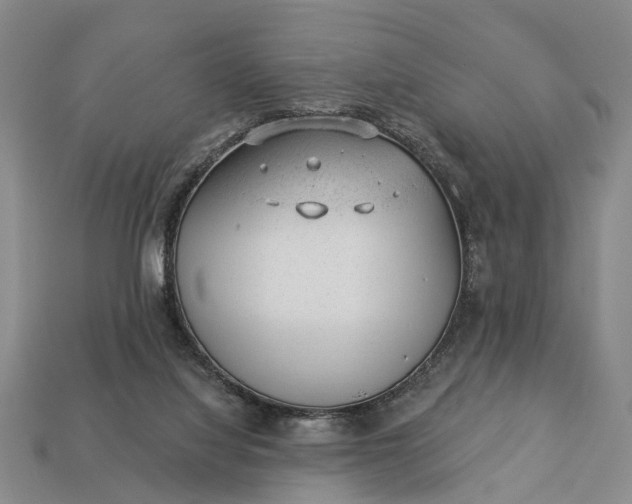 X0000112980068200909101723