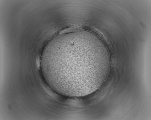 X0000112980069200909101723