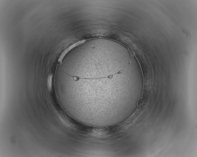 X0000112980070200909101723