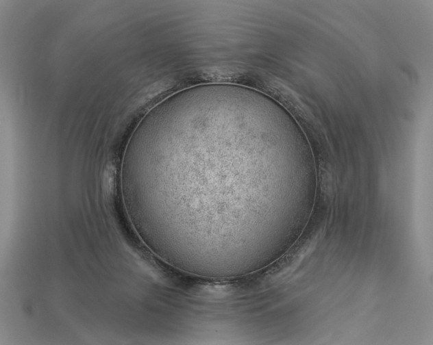 X0000112980071200909101723