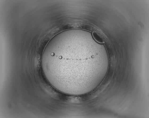 X0000112980073200909101723