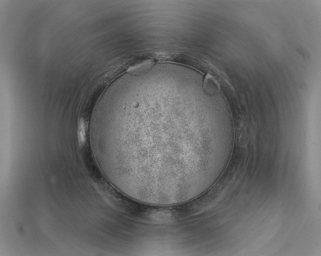 X0000112980075200909101723