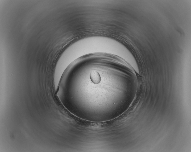 X0000112980076200909101723