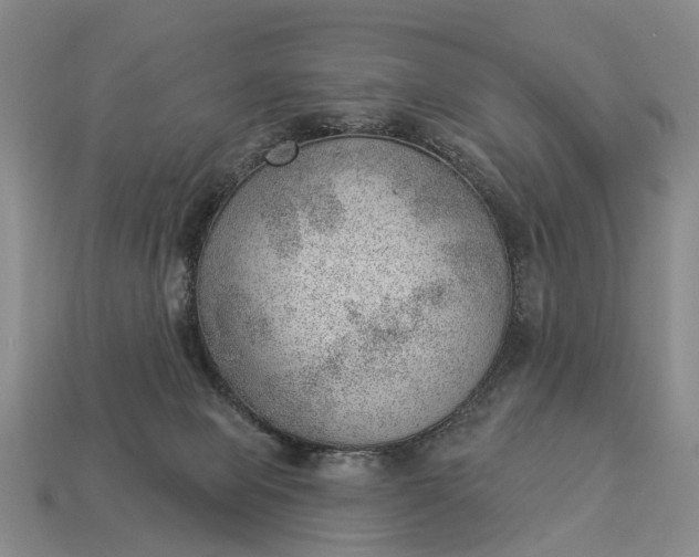 X0000112980077200909101723