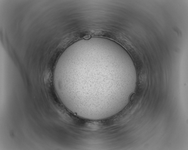 X0000112980079200909101723