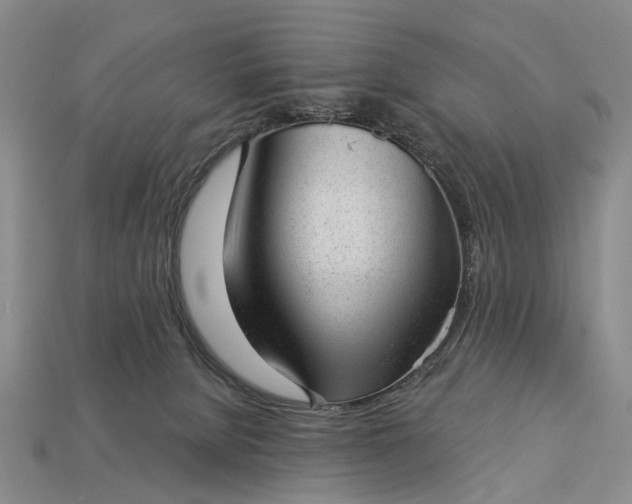 X0000112980080200909101723