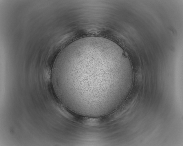 X0000112980081200909101723