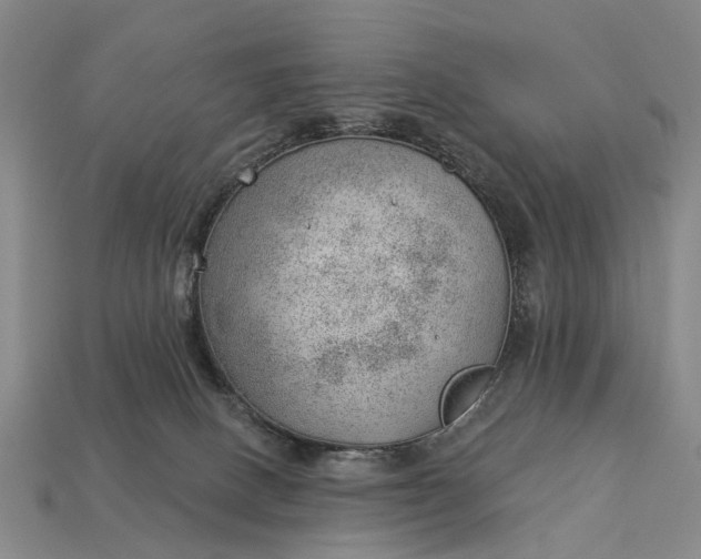 X0000112980082200909101723