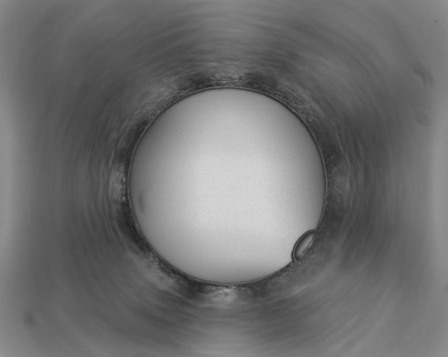 X0000112980083200909101723