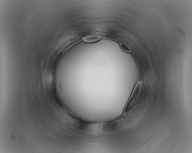 X0000112980084200909101723