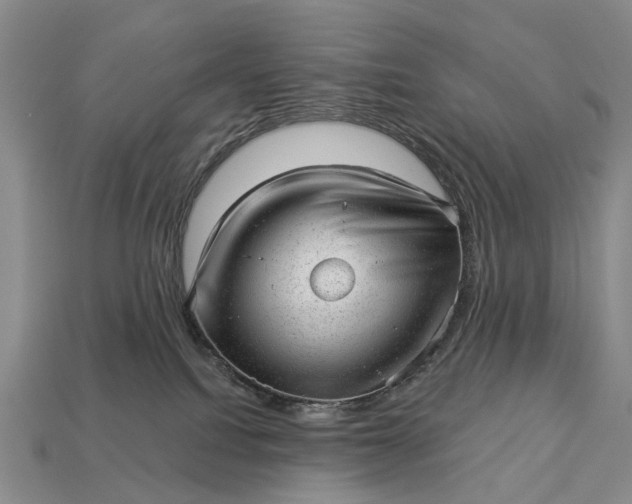 X0000112980088200909101723