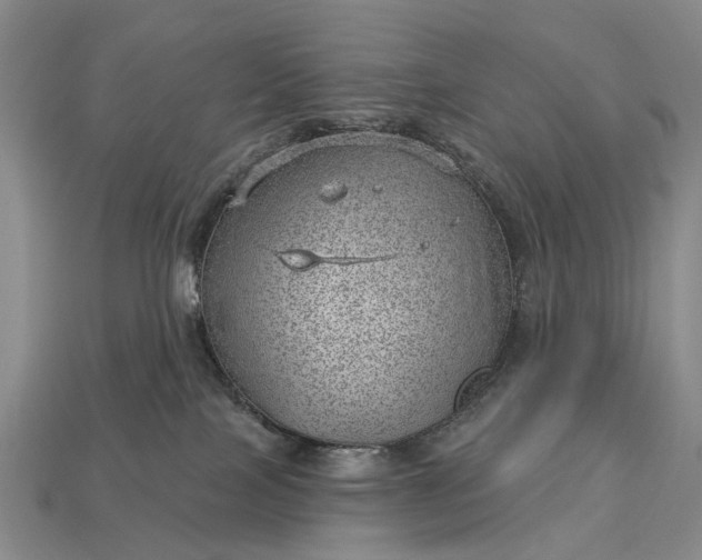 X0000112980089200909101723