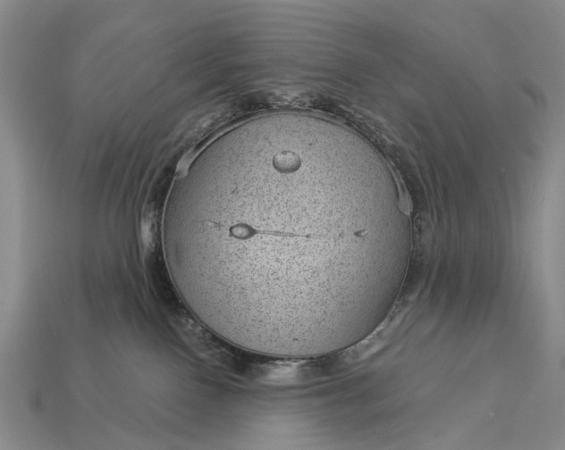 X0000112980090200909101723