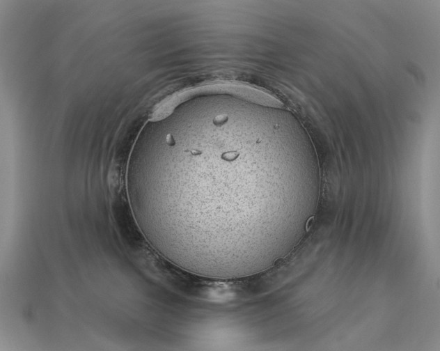 X0000112980091200909101723