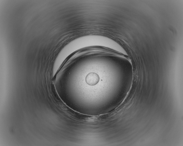 X0000112980092200909101723