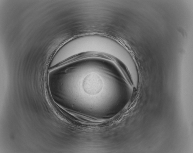 X0000112980097200909101722