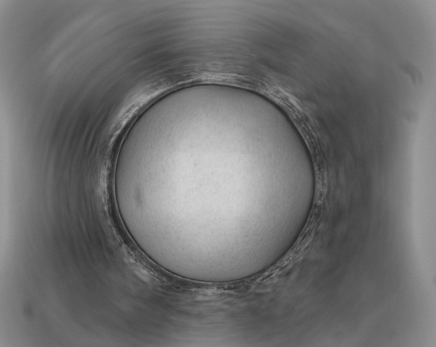 X0000112980098200909101722